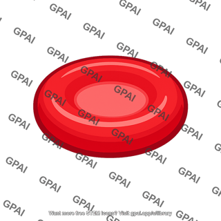 Red blood cell vertebrate