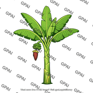 Banana plant