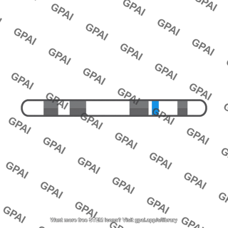 Gene locus chromosome segment