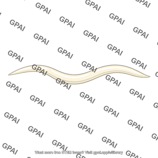 Nematode parasite