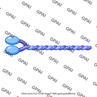 Myosin