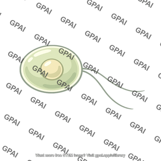 Zoospore round body