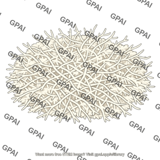 Mycelium