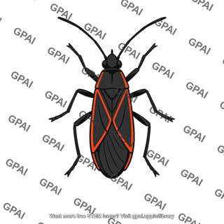 Soapberry bug red lined