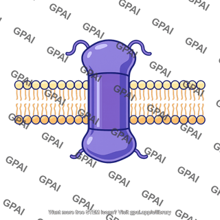 Transmembrane protein