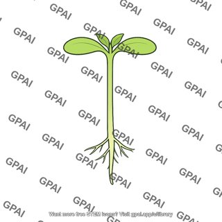 Seedling dicot