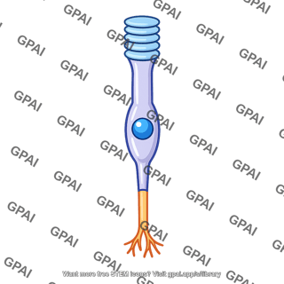 Retinal cell