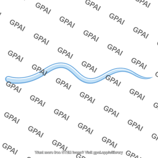 Flagellum bent