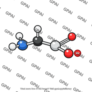Glycine molecule