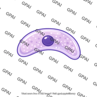 Plasmodium