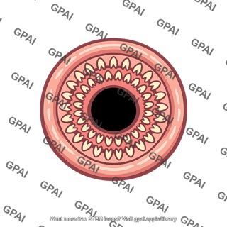Mouth jawless round