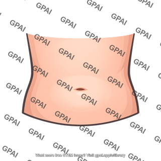 Belly