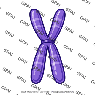 Sex chromosome
