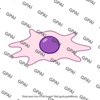 Adherent cell