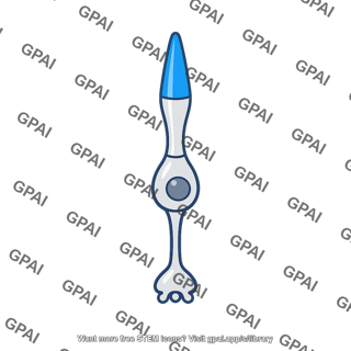 Blue cone photoreceptor