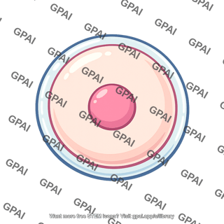 Ovum