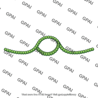Rna intron