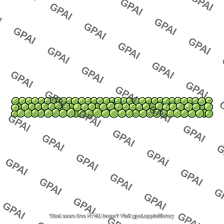 Algal layer