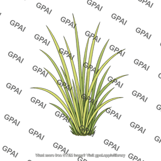 Beach grass