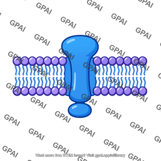 Transmembrane protein