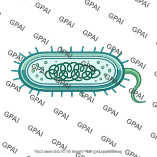 Prokaryotic cell oxygen using