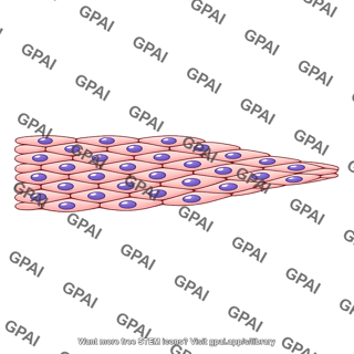 Cell sheet converging