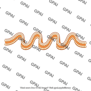 Inner mitochondrial membrane