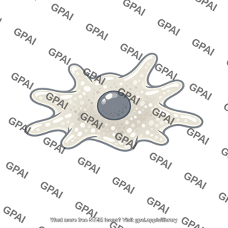 Dictyostelium discoideum