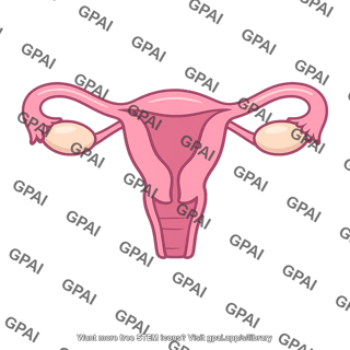 Female reproductive system
