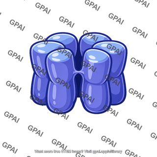 Sodium channel protein