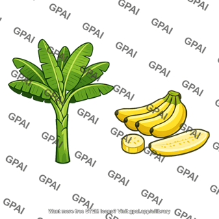 Banana plant seedless