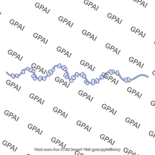 Chromosome interphase