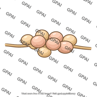 Legume root nodule