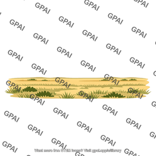 Grassy plain