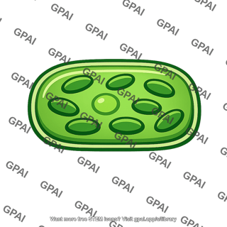 Autotroph