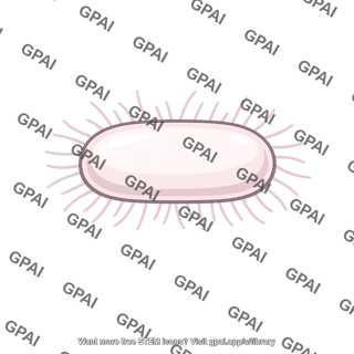 Pertussis bacterium