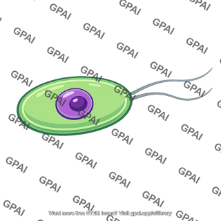 Mature cell flagellated