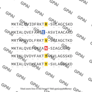 Protein sequence alignment