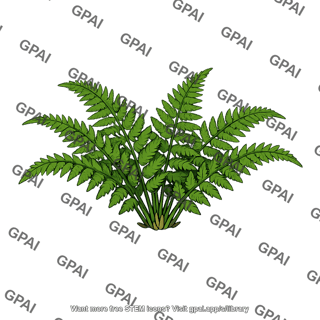 Fern