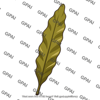 Blade brown alga