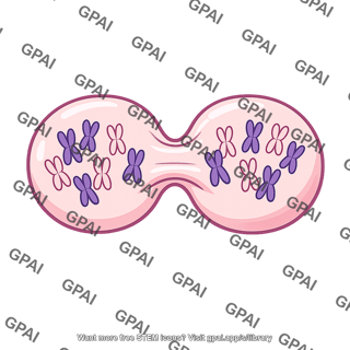 Mature cell dividing