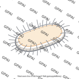 Bacterium with fimbriae