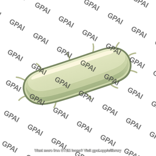 Aerobic decomposer bacterium