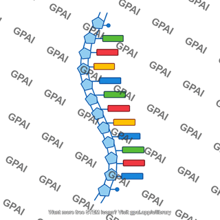 Coding strand