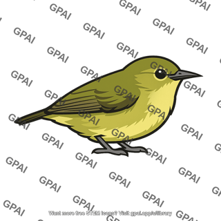 Certhidea olivacea