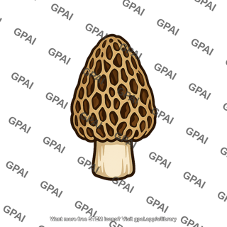 Morel mushroom