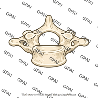 Neck bone