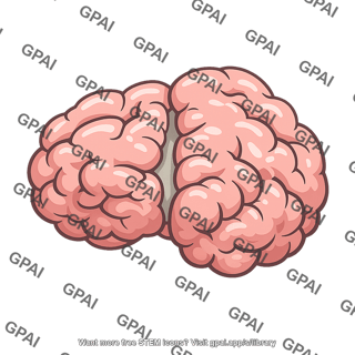 Human brain