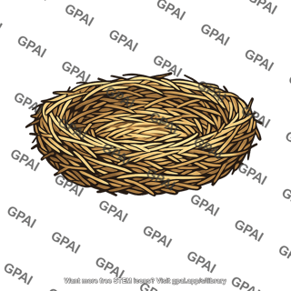 Birds nest