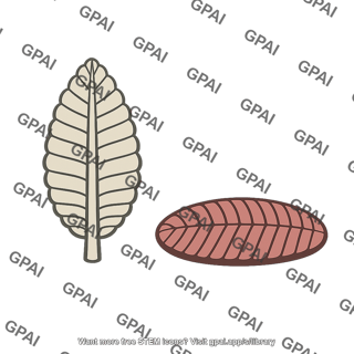 Ediacaran animal